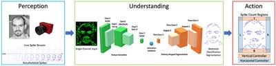 Perception Understanding Action: Adding Understanding to the Perception Action Cycle With Spiking Segmentation